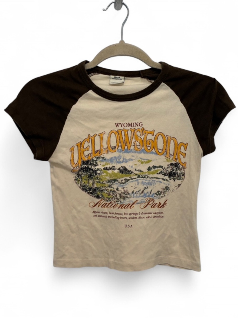 Urban Outfitters Yellowstone Wyoming Raglan Tee - Cream & Brown